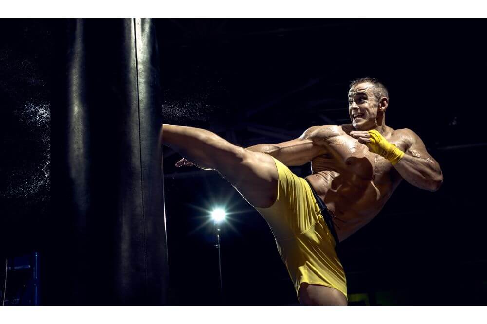 Hawk Boxing Gloves Review MMA sports INC